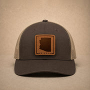swatch color Brown