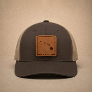 swatch color Brown