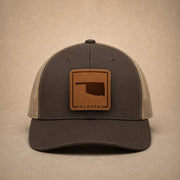 swatch color Brown