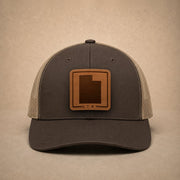 swatch color Brown